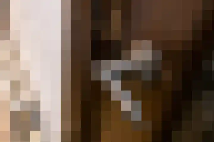 Eindstraat 9 Sint Geertruid thumbnail 15