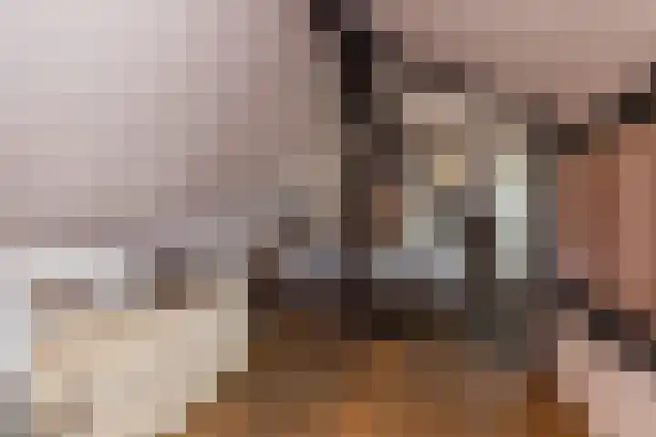 Eindstraat 9 Sint Geertruid thumbnail 22