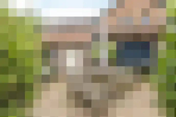 Eindstraat 9 Sint Geertruid thumbnail 26