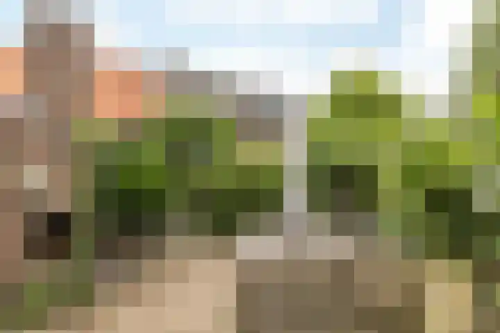 Eindstraat 9 Sint Geertruid thumbnail 27