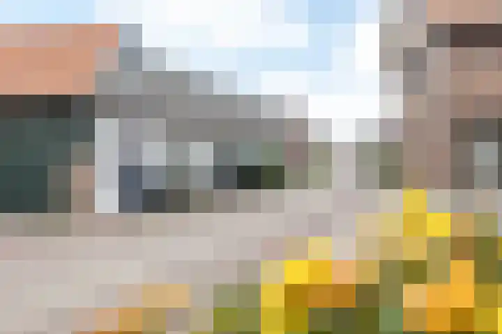 Eindstraat 9 Sint Geertruid thumbnail 31