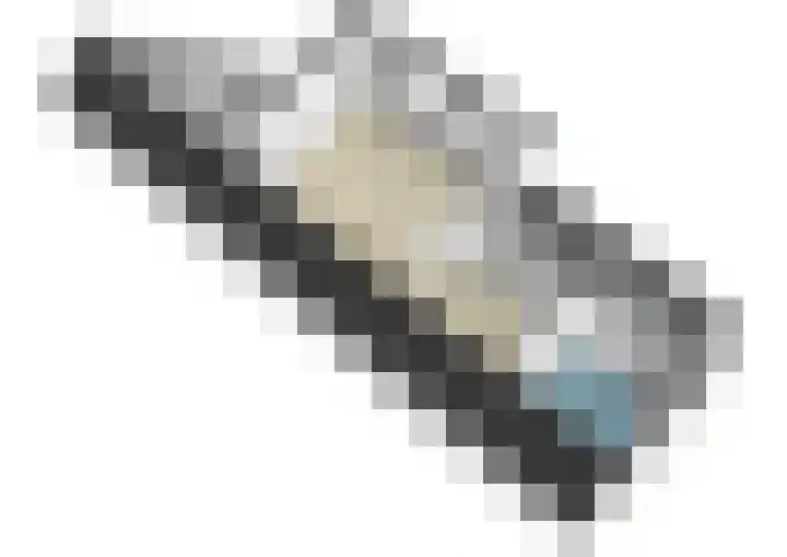 Eindstraat 9 Sint Geertruid thumbnail 36