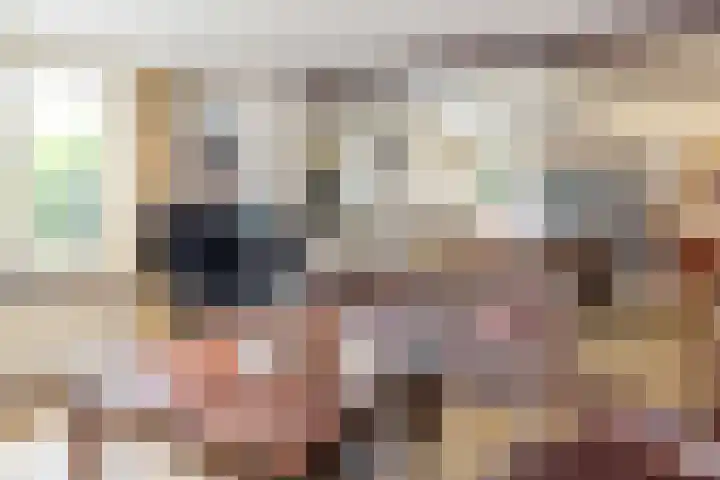 Eindstraat 9 Sint Geertruid thumbnail 5