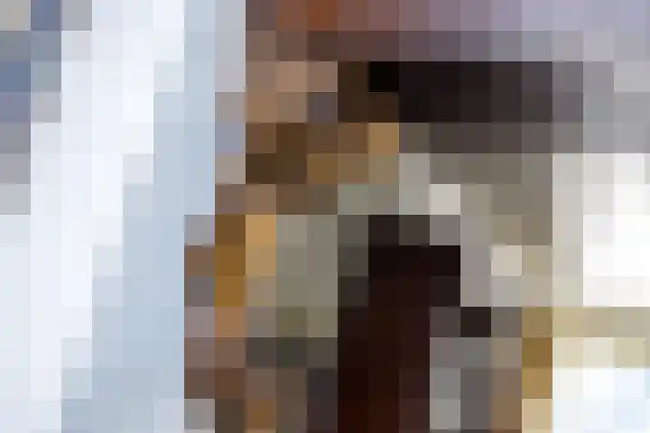 Eindstraat 9 Sint Geertruid thumbnail 8