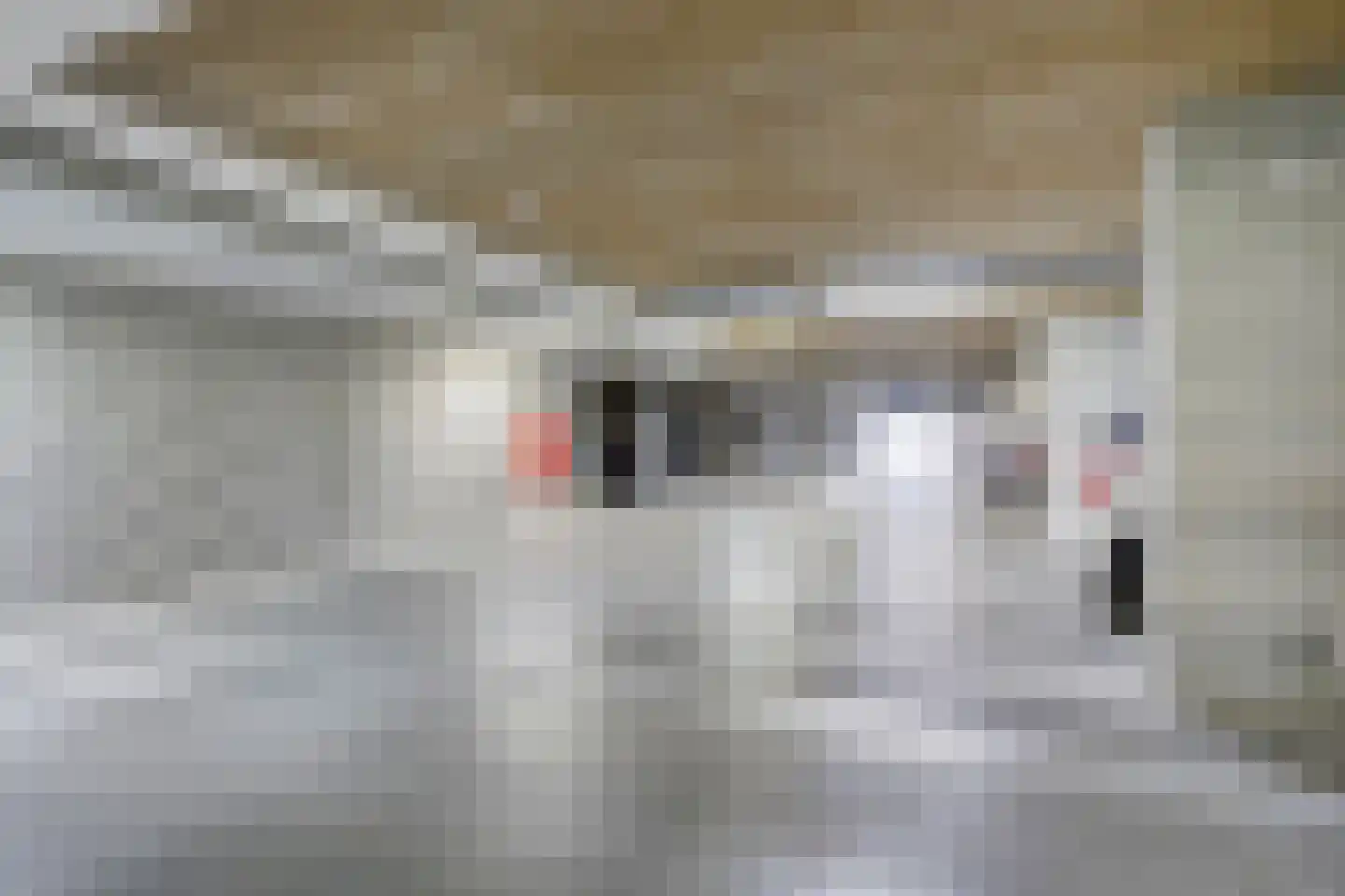 Eindstraat 96 Venray thumbnail 27