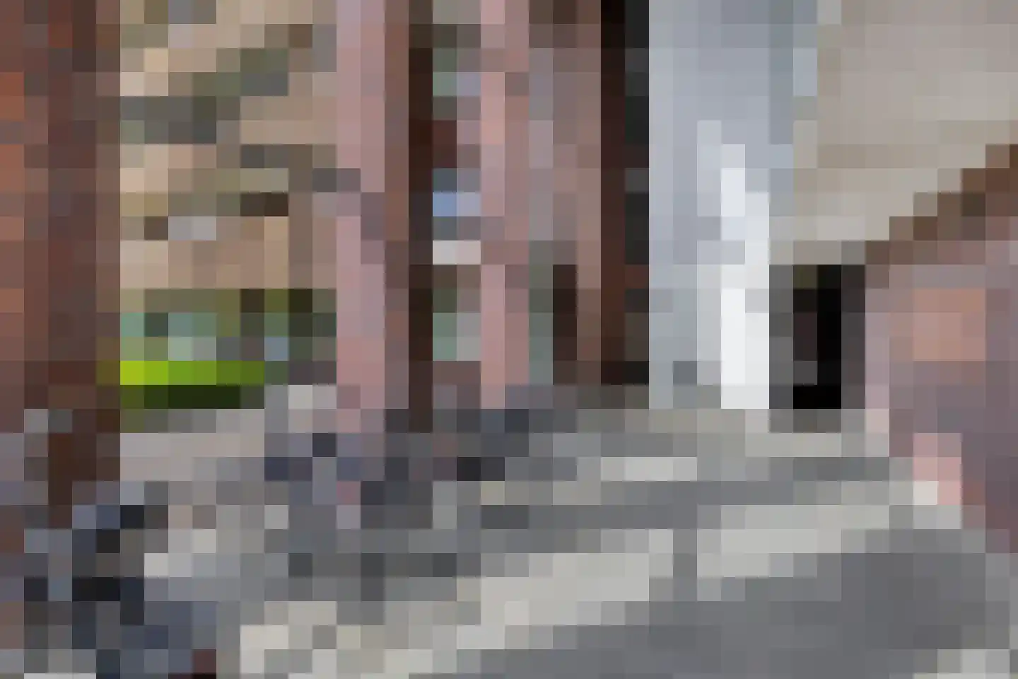Eindstraat 96 Venray thumbnail 4