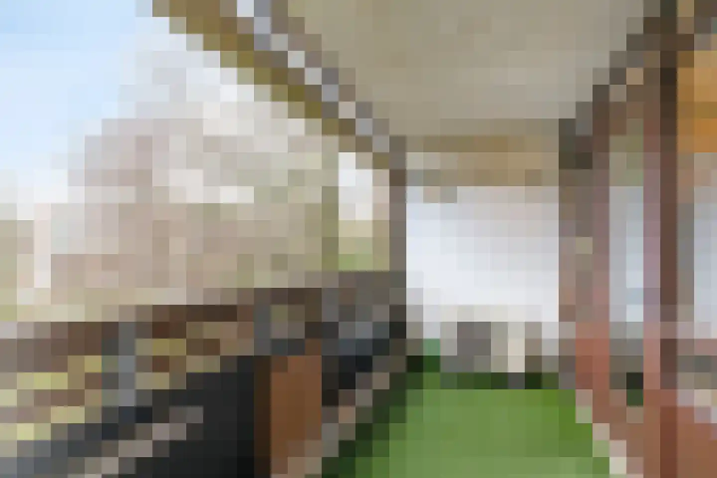 Eindstraat 98 Venray thumbnail 24