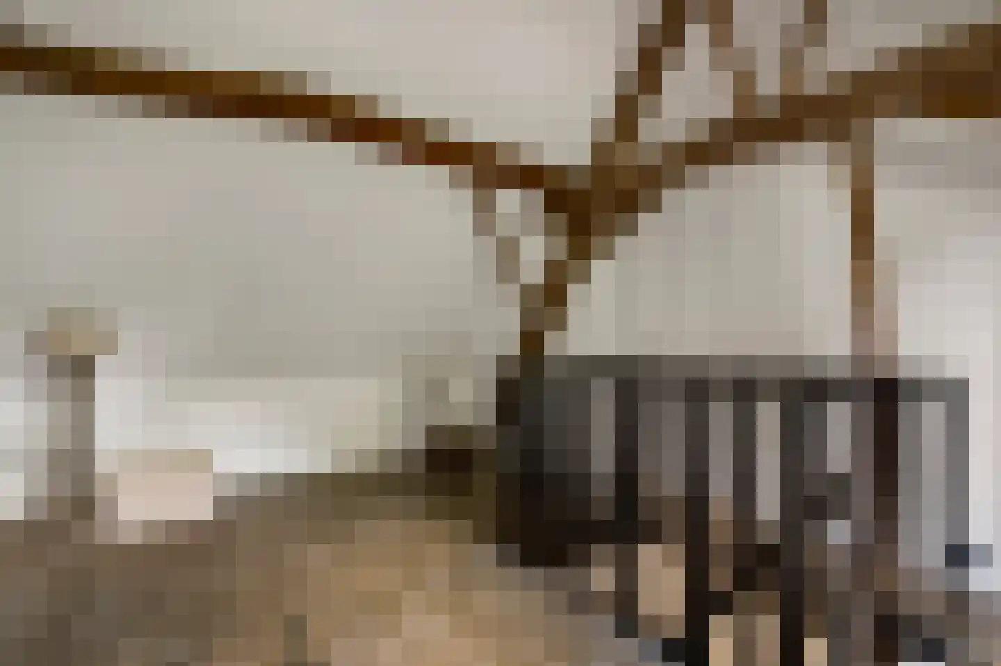 Eindweg 16 Swalmen thumbnail 17