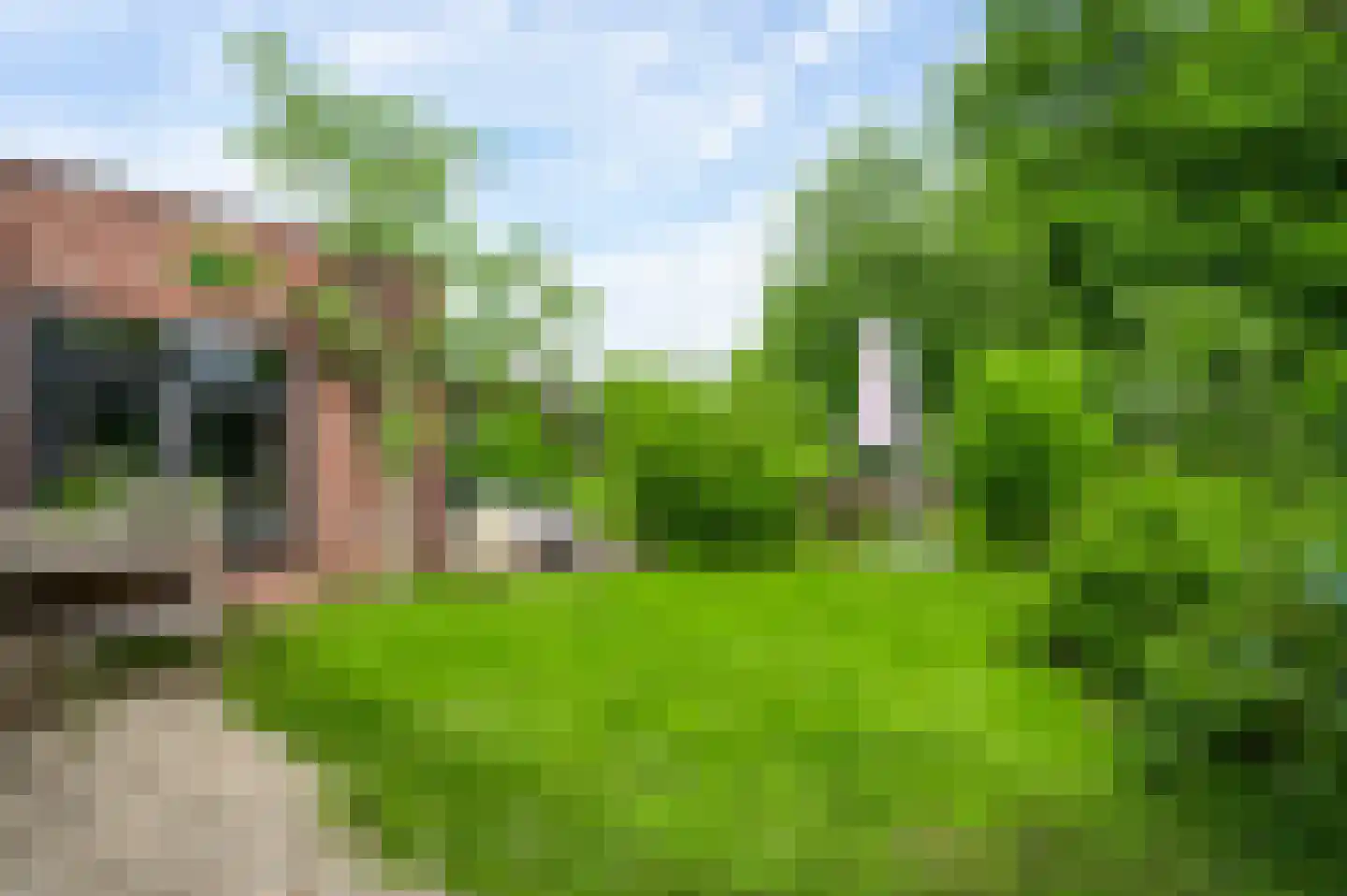Eindweg 16 Swalmen thumbnail 26