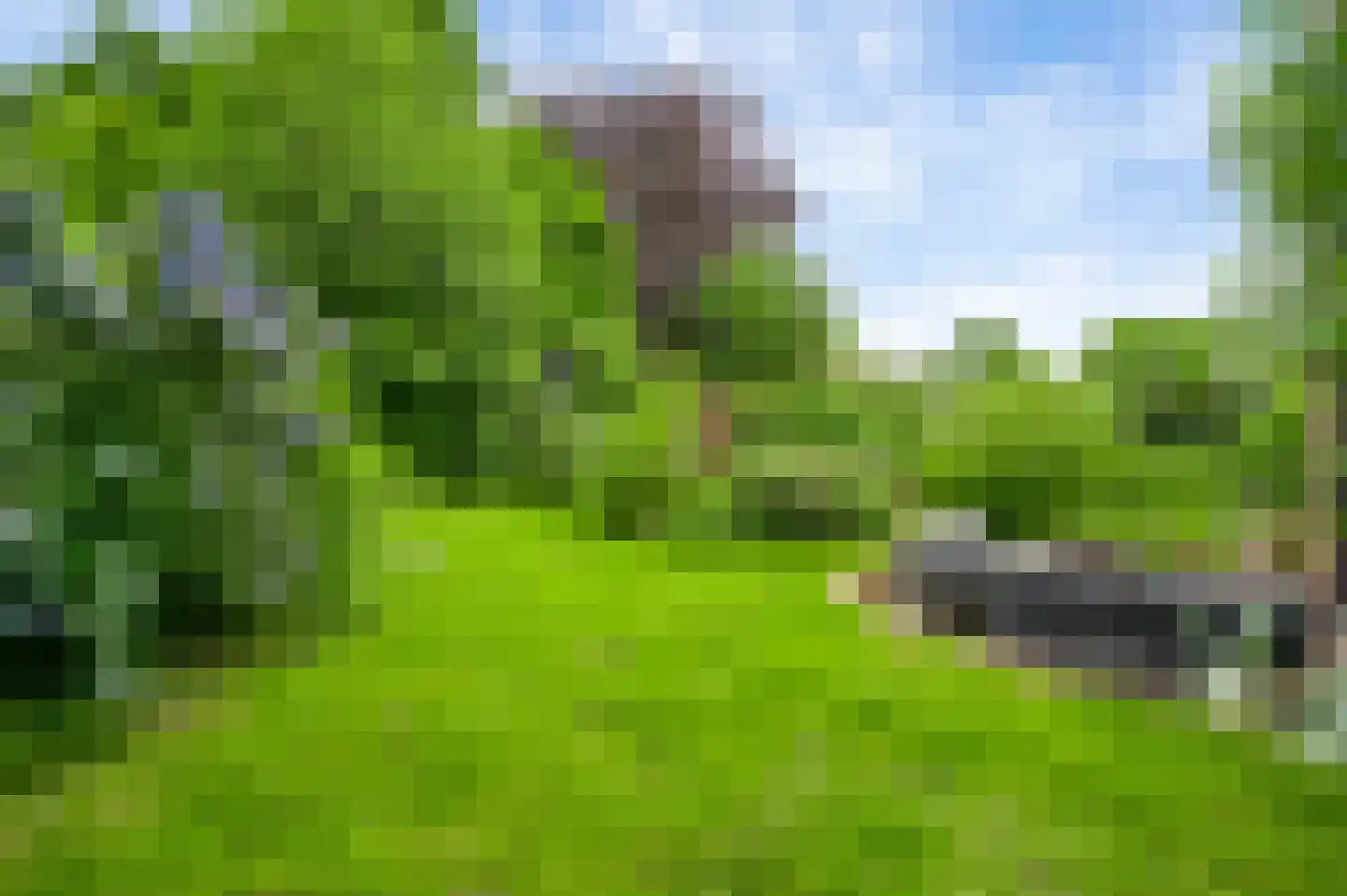 Eindweg 16 Swalmen thumbnail 27