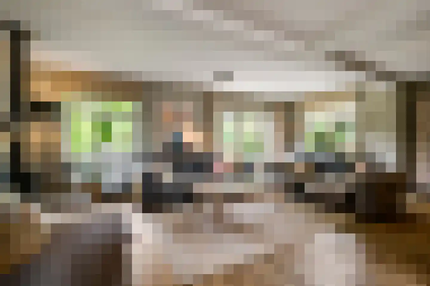 Eindweg 16 Swalmen thumbnail 5