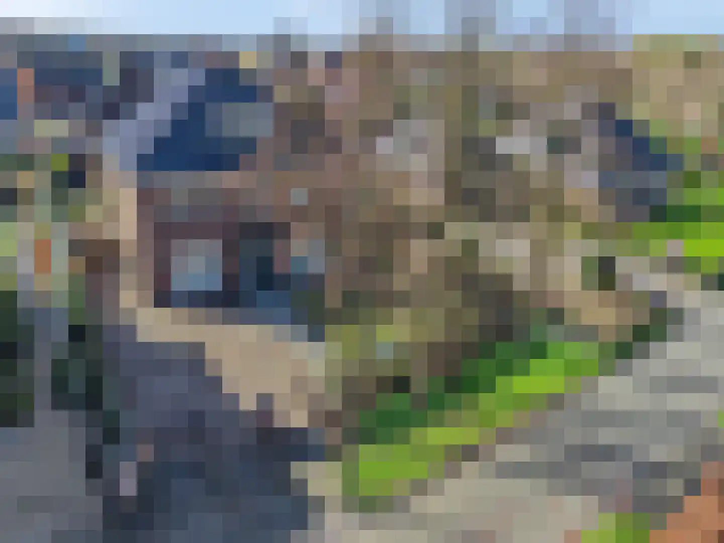 Eindweg 6 Hooglanderveen thumbnail 10