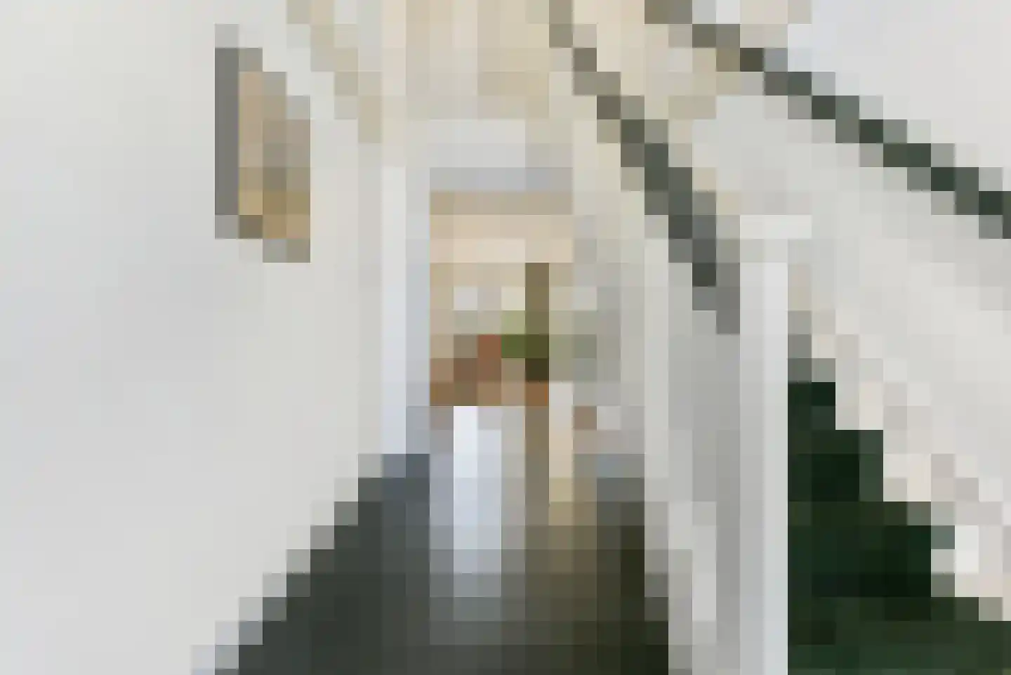 Eindweg 6 Hooglanderveen thumbnail 16