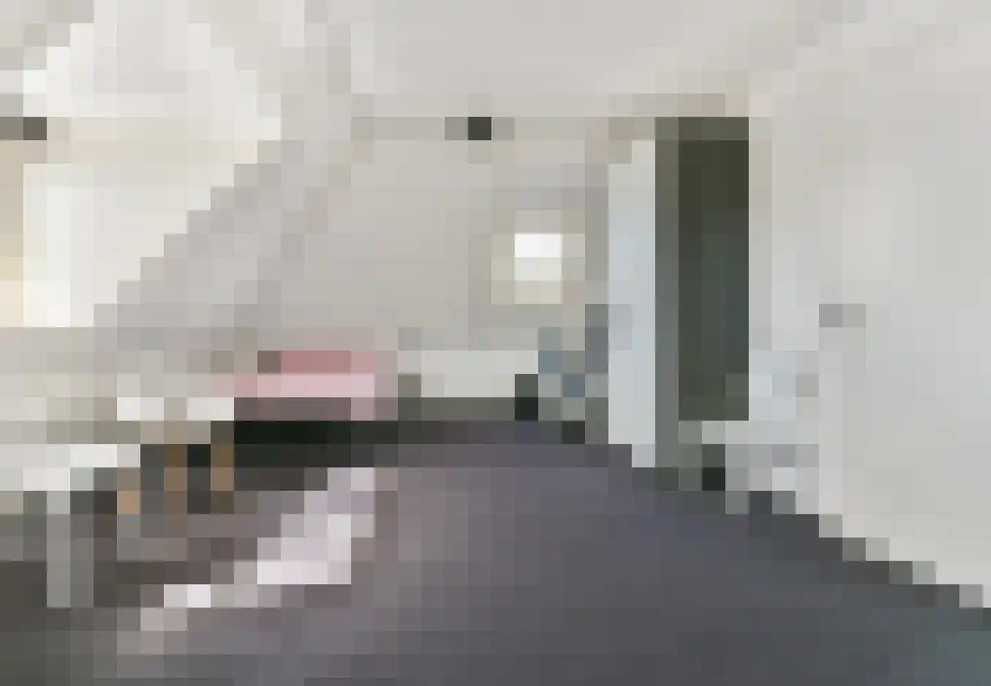Eindweg 6 Hooglanderveen thumbnail 50