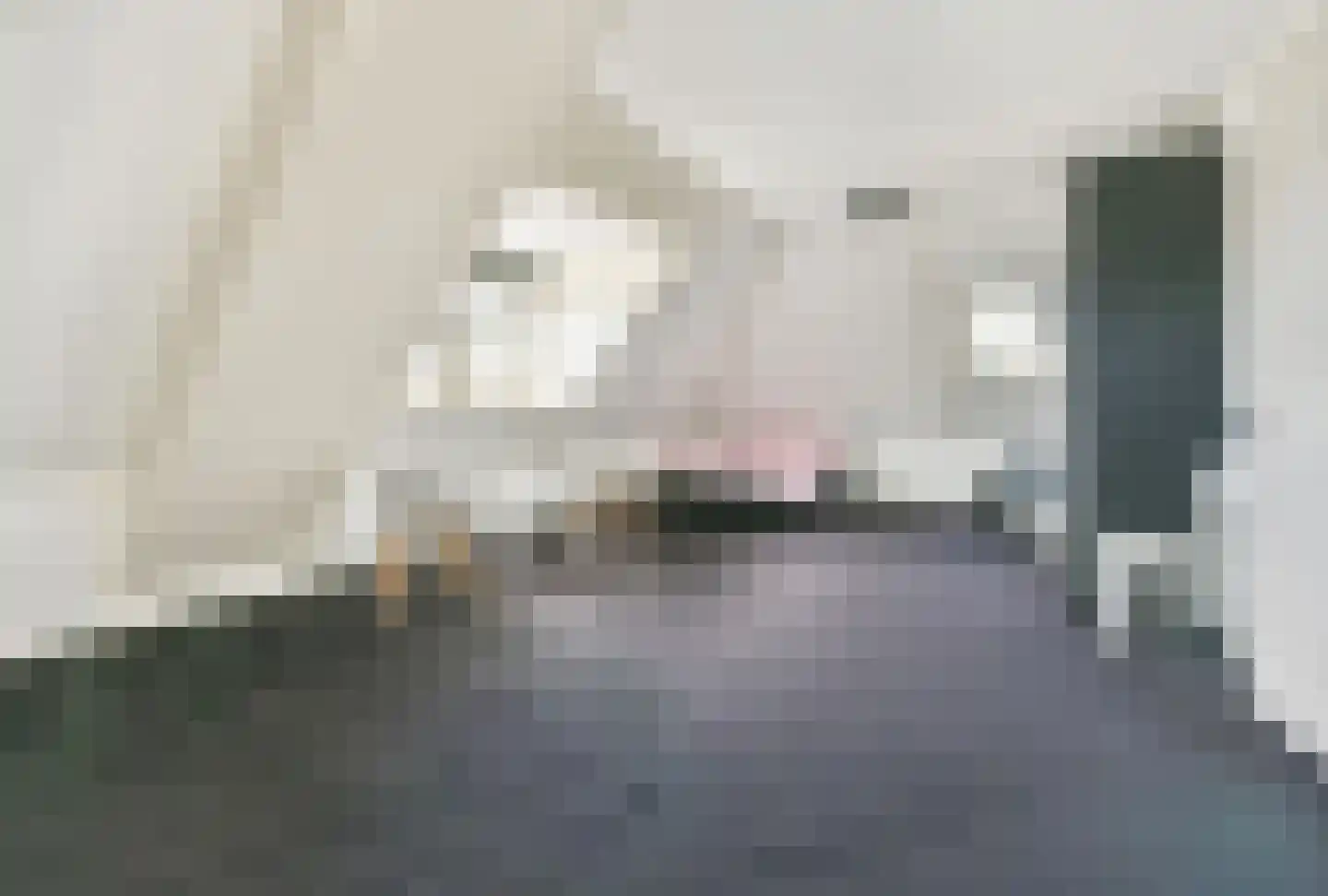 Eindweg 6 Hooglanderveen thumbnail 52