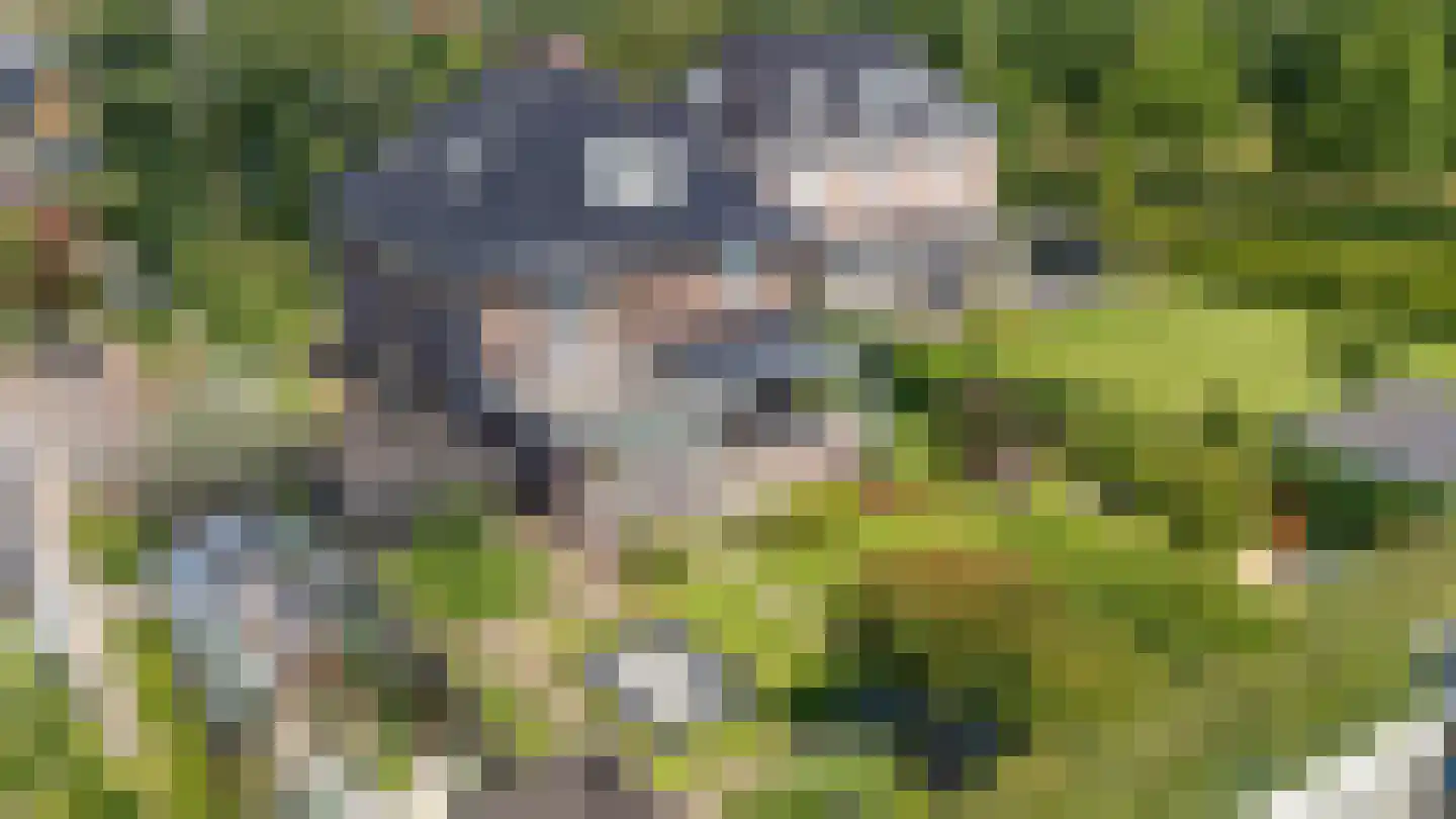 Eindweg 6 Hooglanderveen thumbnail 56