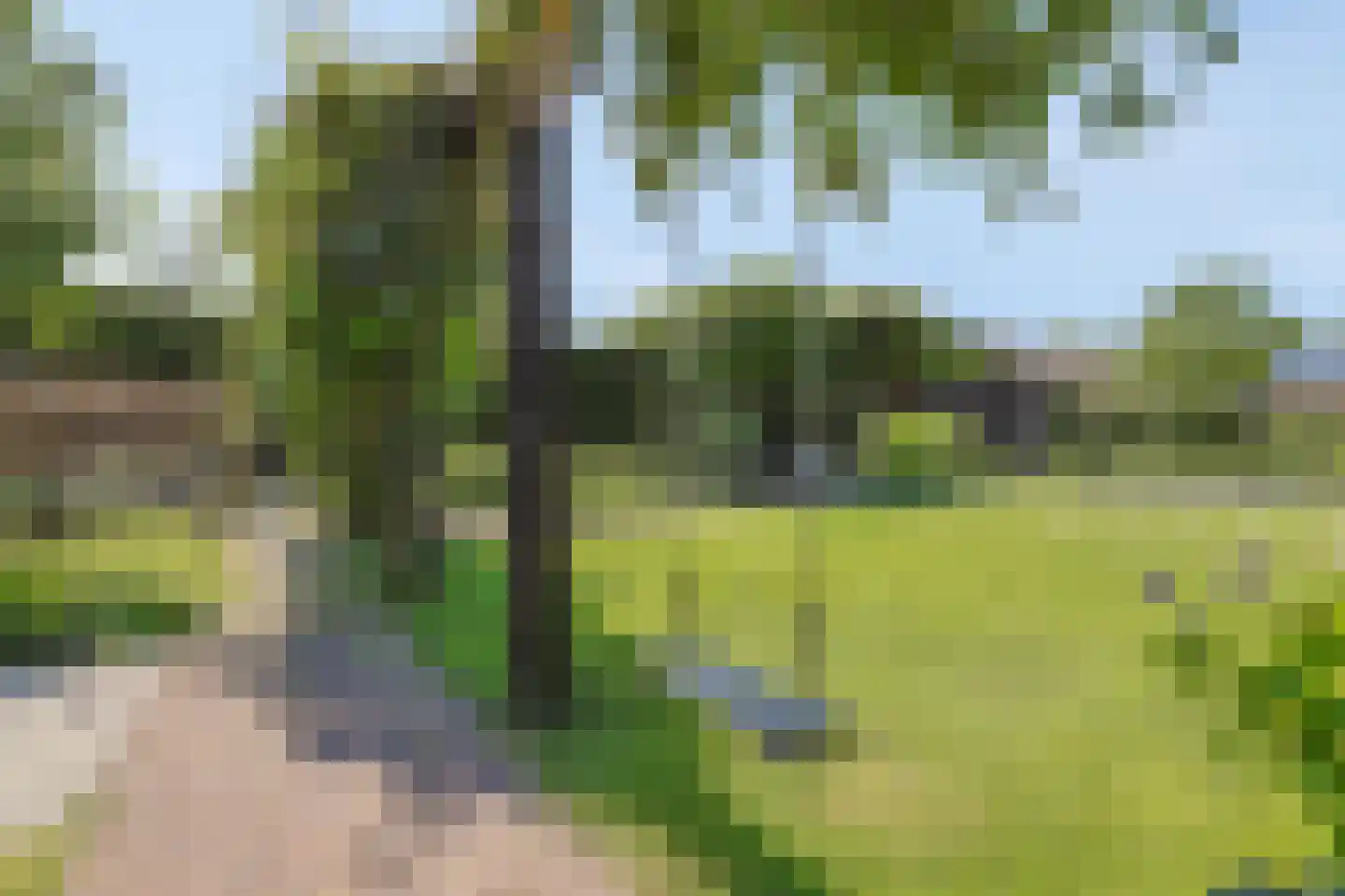 Eindweg 6 Hooglanderveen thumbnail 58