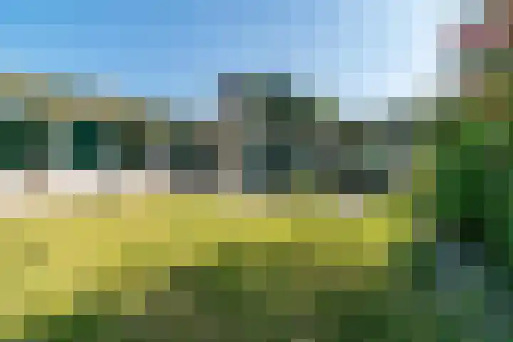 Eineflecht 6 Beetsterzwaag thumbnail 10