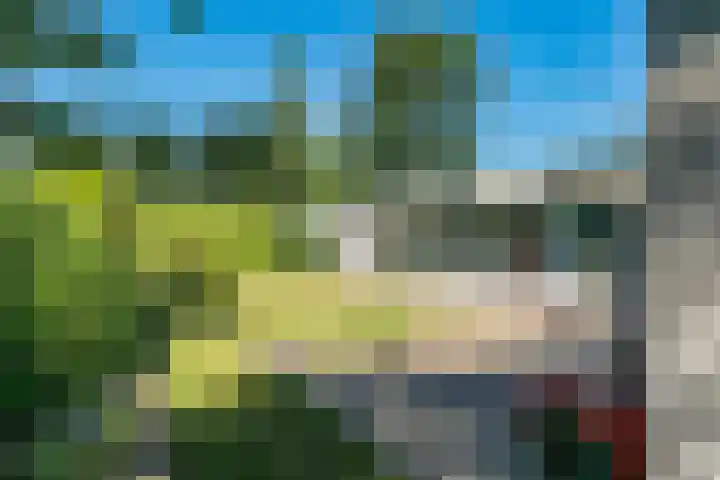 Eineflecht 6 Beetsterzwaag thumbnail 11