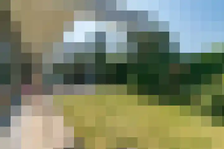 Eineflecht 6 Beetsterzwaag thumbnail 13