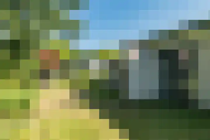 Eineflecht 6 Beetsterzwaag thumbnail 15