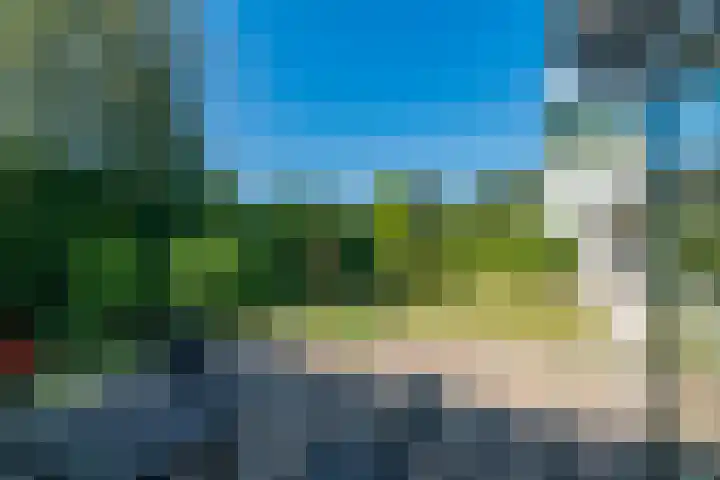 Eineflecht 6 Beetsterzwaag thumbnail 16