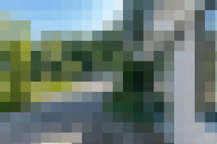 Eineflecht 6 Beetsterzwaag thumbnail 17