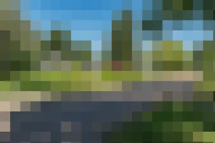 Eineflecht 6 Beetsterzwaag thumbnail 19