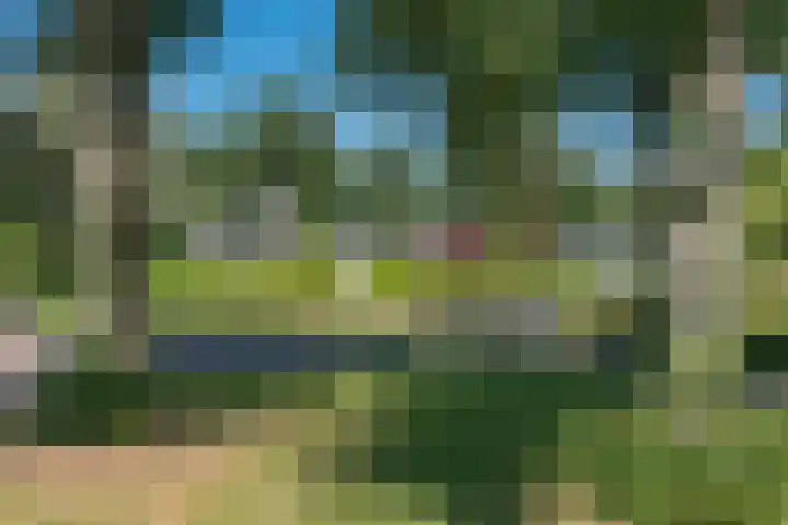 Eineflecht 6 Beetsterzwaag thumbnail 20