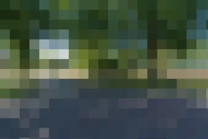 Eineflecht 6 Beetsterzwaag thumbnail 21