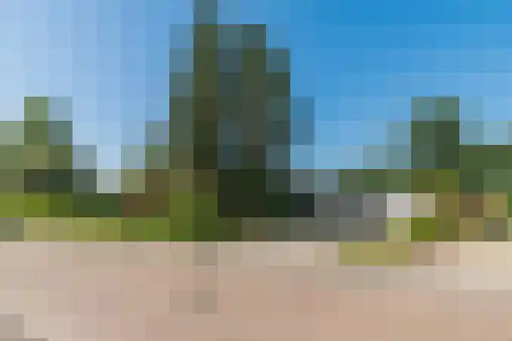 Eineflecht 6 Beetsterzwaag thumbnail 22