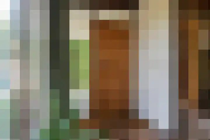 Eineflecht 6 Beetsterzwaag thumbnail 23