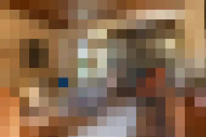 Eineflecht 6 Beetsterzwaag thumbnail 28