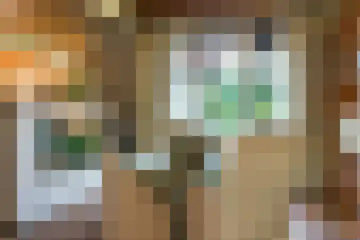 Eineflecht 6 Beetsterzwaag thumbnail 32
