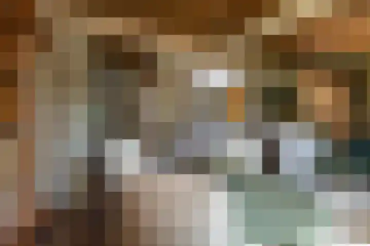 Eineflecht 6 Beetsterzwaag thumbnail 33