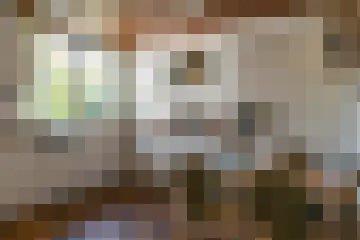 Eineflecht 6 Beetsterzwaag thumbnail 34