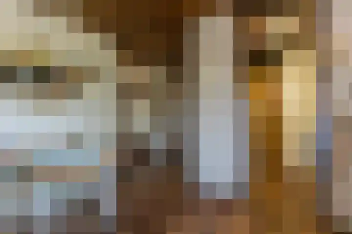 Eineflecht 6 Beetsterzwaag thumbnail 36