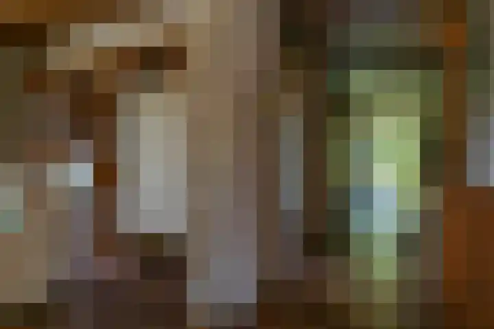 Eineflecht 6 Beetsterzwaag thumbnail 37