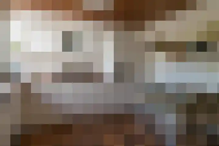 Eineflecht 6 Beetsterzwaag thumbnail 4