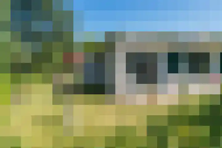 Eineflecht 6 Beetsterzwaag thumbnail 8
