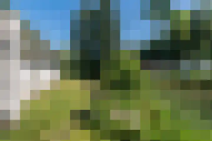 Eineflecht 6 Beetsterzwaag thumbnail 9