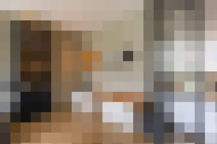 Einekroas 21 Burgum thumbnail 18