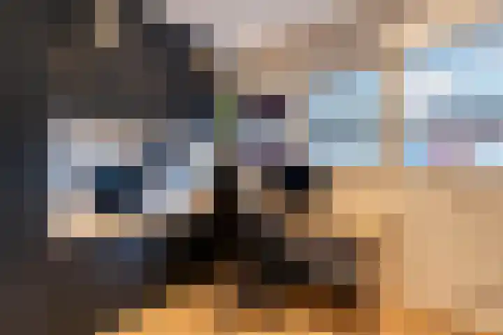 Einekroas 21 Burgum thumbnail 26