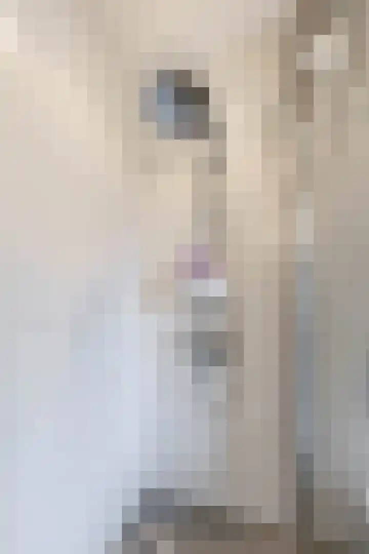 Einekroas 21 Burgum thumbnail 37