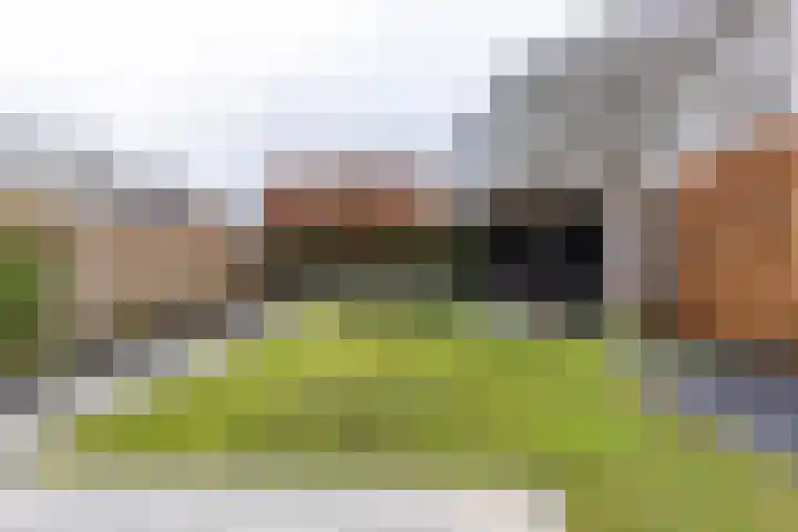 Einekroas 21 Burgum thumbnail 42