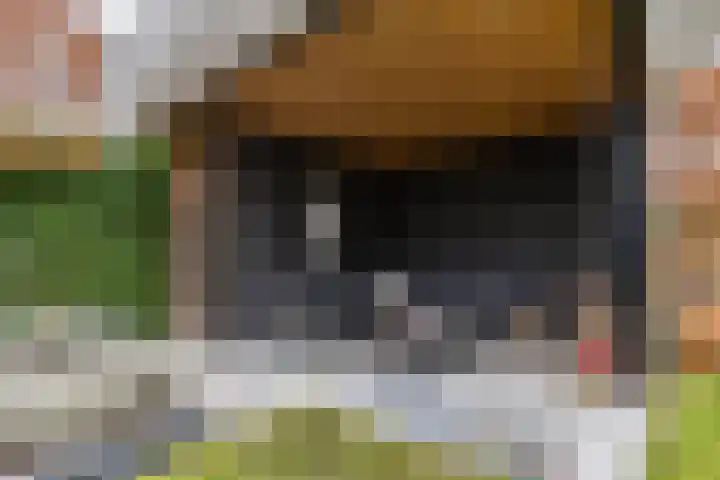 Einekroas 21 Burgum thumbnail 44