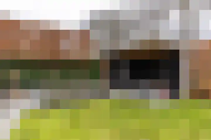Einekroas 21 Burgum thumbnail 5