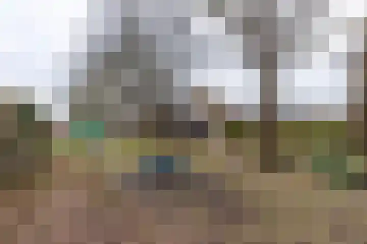 Einekroas 21 Burgum thumbnail 51