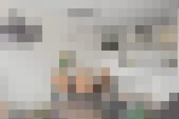 Einsteindreef 25 C Utrecht thumbnail 20