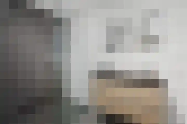 Einsteindreef 25 C Utrecht thumbnail 31